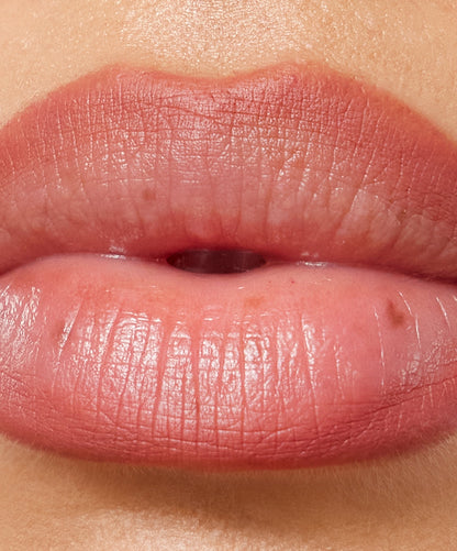 Lip Sculpt